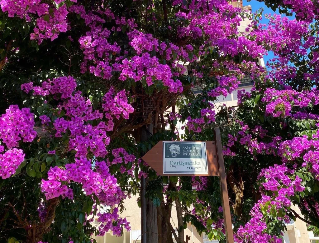 Sait Faik: Adacılığın Ritüellere Yansıması 21