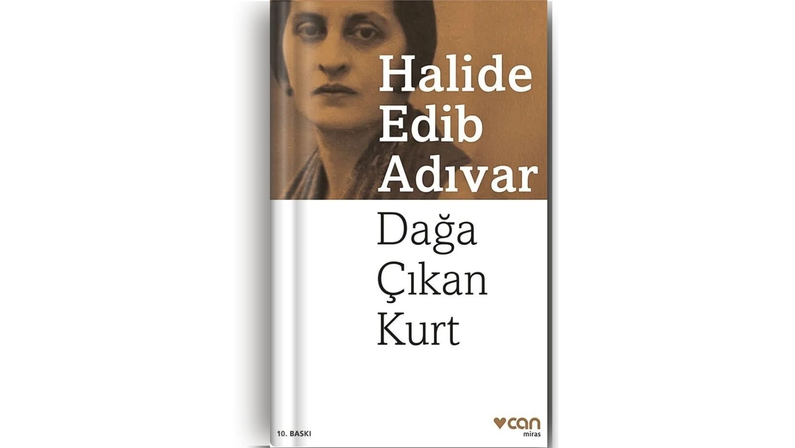 Milli Mücadele'nin Kadınları: Halide Edib'in Eserlerindeki Kahraman Kadınlar 9