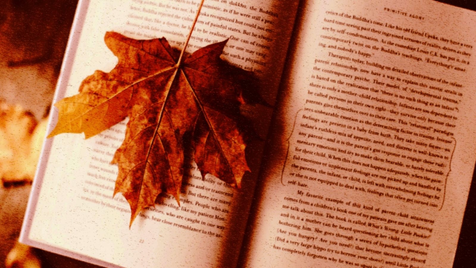 Sonbahar Okuma Alışkanlıklarımızı Nasıl Etkiliyor? 5