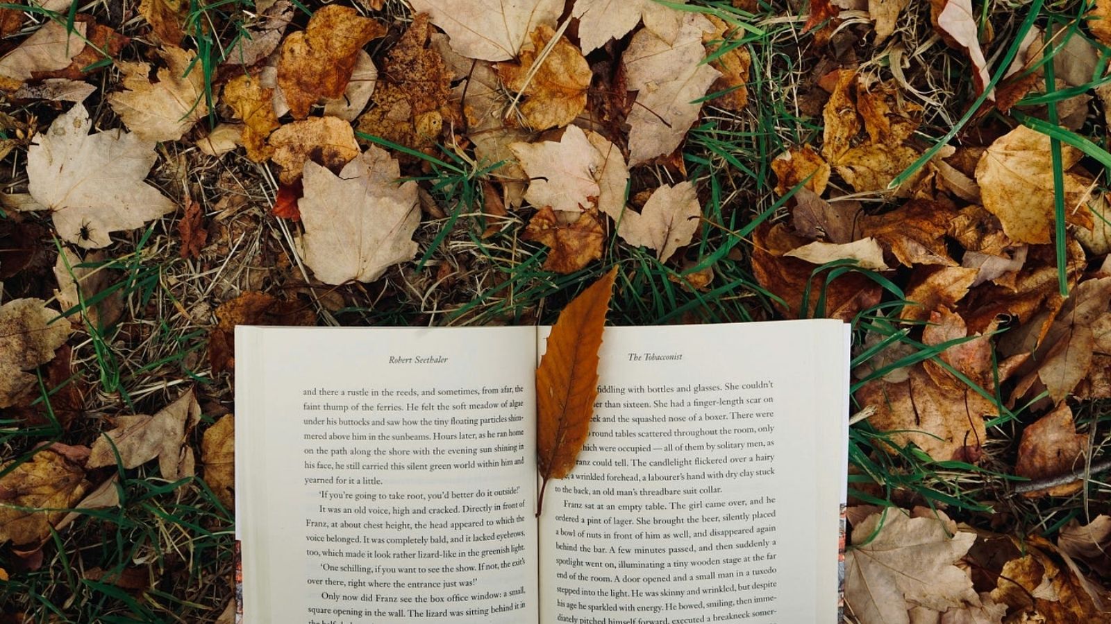 Sonbahar Okuma Alışkanlıklarımızı Nasıl Etkiliyor? 7