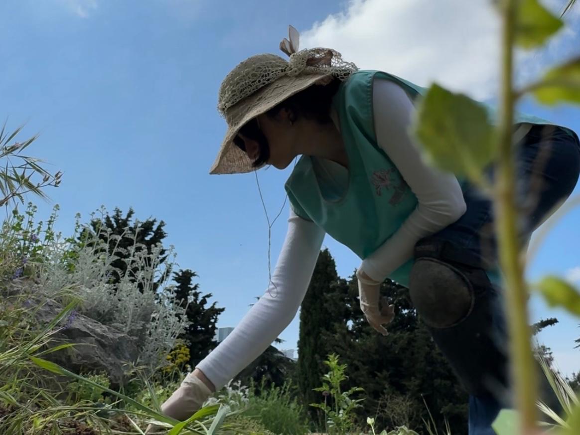 bahçe işleriyle uğraşan biri